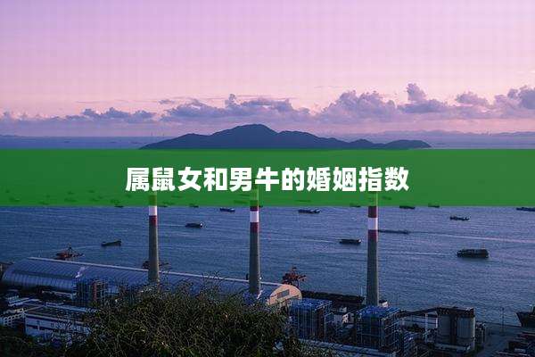 属鼠女和男牛的婚姻指数