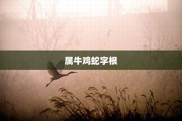 属牛鸡蛇字根