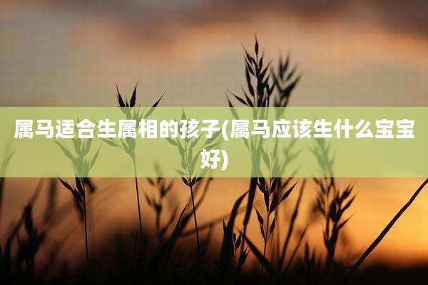 属马适合生属相的孩子(属马应该生什么宝宝好)