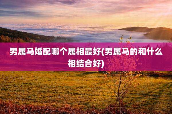 男属马婚配哪个属相最好(男属马的和什么相结合好)