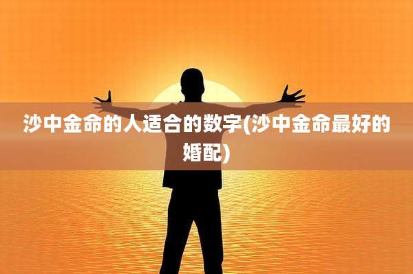 沙中金命的人适合的数字(沙中金命最好的婚配)