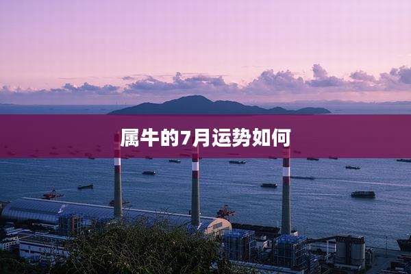 属牛的7月运势如何