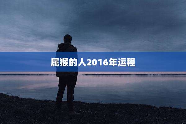 属猴的人2016年运程