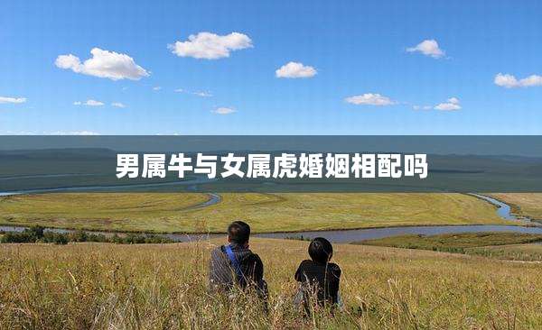 男属牛与女属虎婚姻相配吗