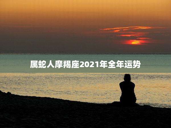 属蛇人摩羯座2021年全年运势