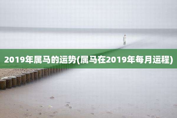 2019年属马的运势(属马在2019年每月运程)