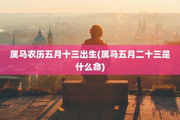属马农历五月十三出生(属马五月二十三是什么命)