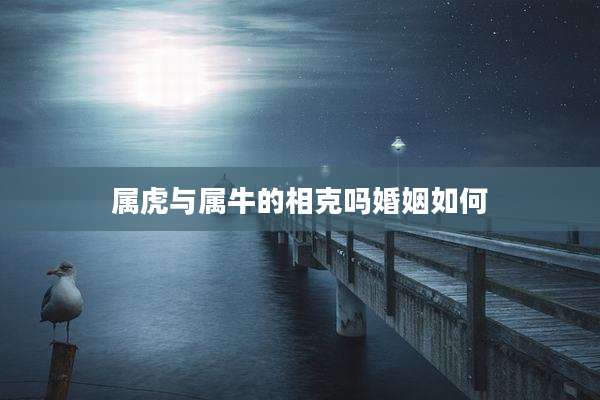 属虎与属牛的相克吗婚姻如何