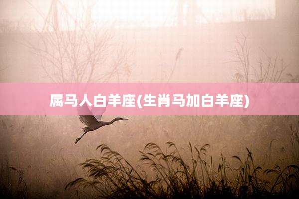 属马人白羊座(生肖马加白羊座)