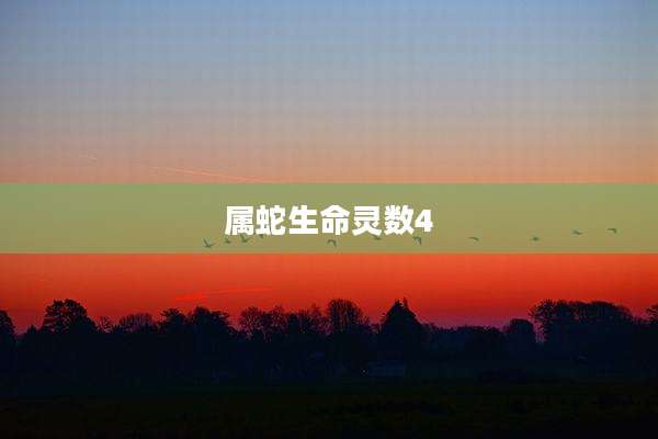 属蛇生命灵数4