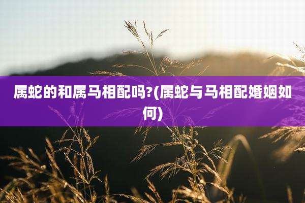 属蛇的和属马相配吗?(属蛇与马相配婚姻如何)