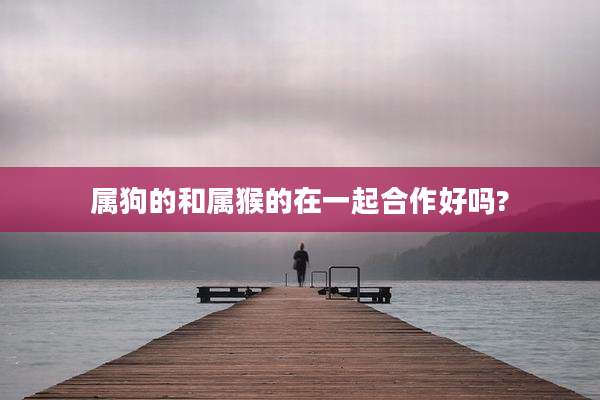 属狗的和属猴的在一起合作好吗?