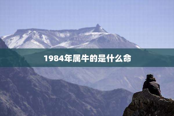 1984年属牛的是什么命