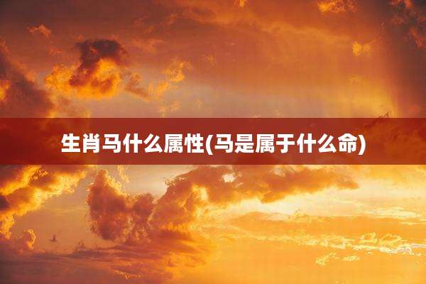 生肖马什么属性(马是属于什么命)