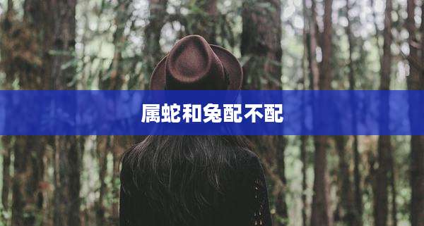 属蛇和兔配不配