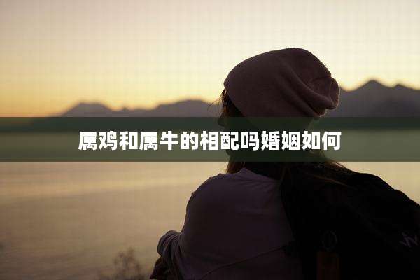 属鸡和属牛的相配吗婚姻如何