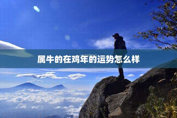 属牛的在鸡年的运势怎么样