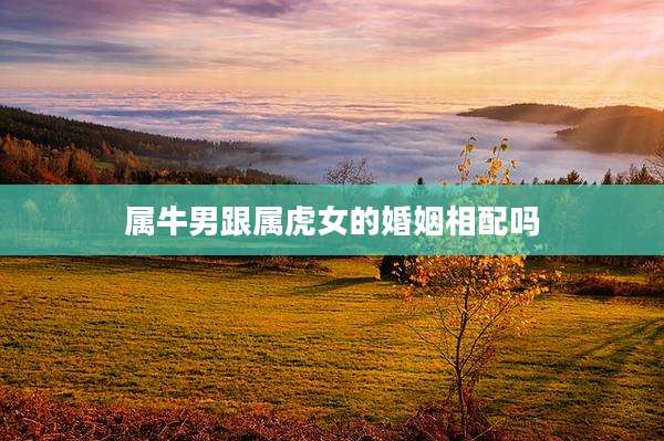 属牛男跟属虎女的婚姻相配吗