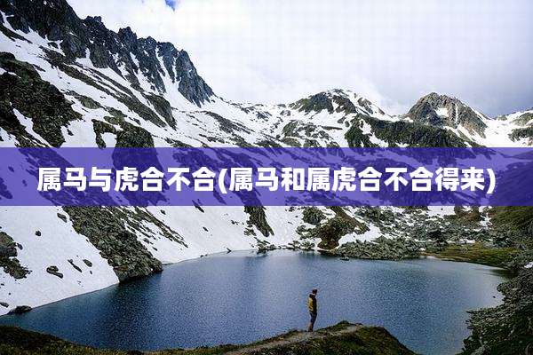 属马与虎合不合(属马和属虎合不合得来)