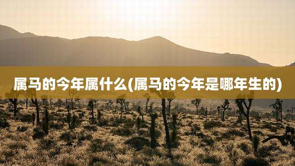 属马的今年属什么(属马的今年是哪年生的)