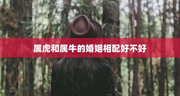 属虎和属牛的婚姻相配好不好