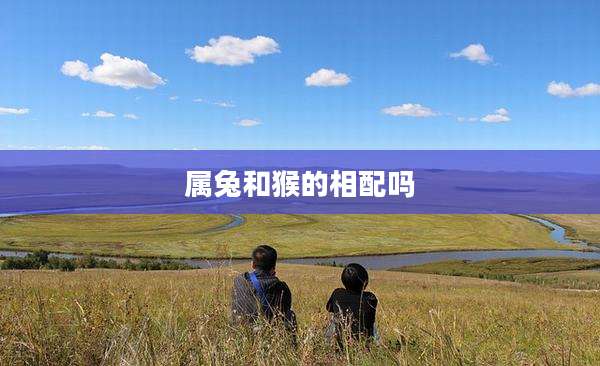 属兔和猴的相配吗