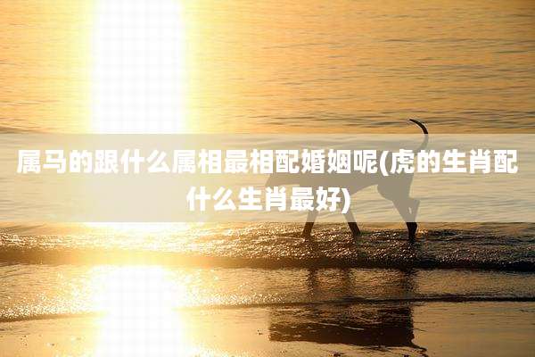 属马的跟什么属相最相配婚姻呢(虎的生肖配什么生肖最好)