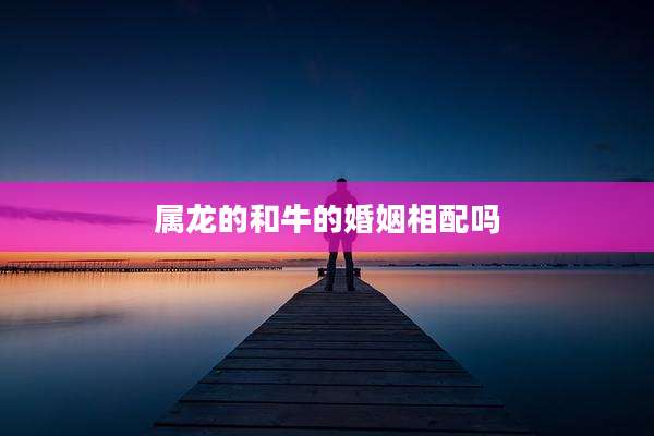 属龙的和牛的婚姻相配吗