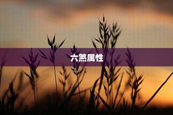 六煞属性