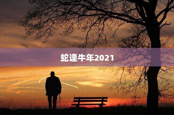 蛇逢牛年2021