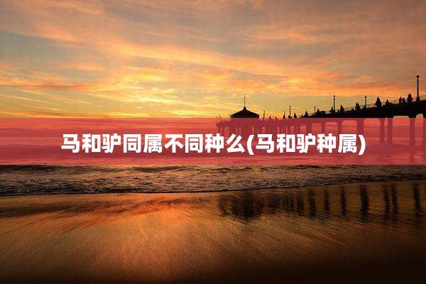 马和驴同属不同种么(马和驴种属)