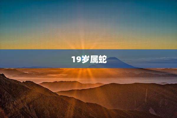 19岁属蛇