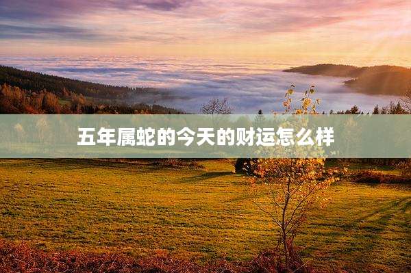 五年属蛇的今天的财运怎么样