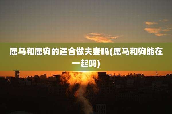 属马和属狗的适合做夫妻吗(属马和狗能在一起吗)