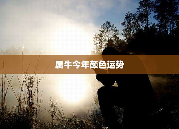 属牛今年颜色运势
