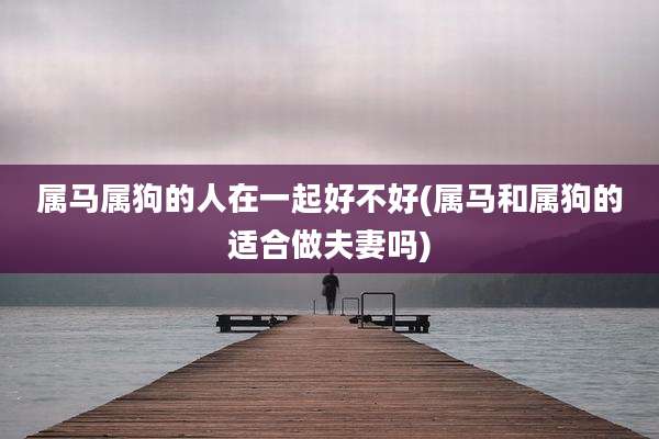 属马属狗的人在一起好不好(属马和属狗的适合做夫妻吗)