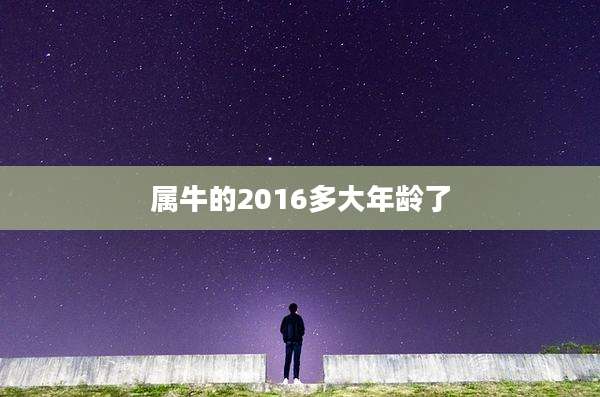 属牛的2016多大年龄了