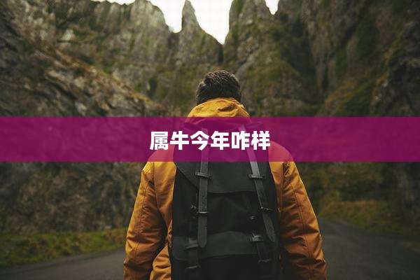 属牛今年咋样