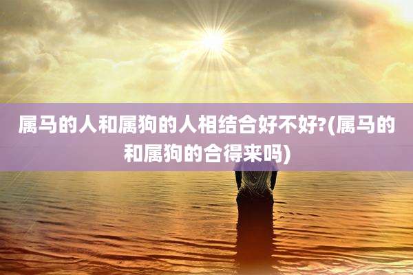 属马的人和属狗的人相结合好不好?(属马的和属狗的合得来吗)
