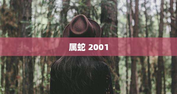 属蛇 2001