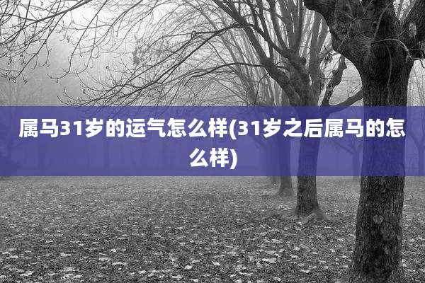 属马31岁的运气怎么样(31岁之后属马的怎么样)