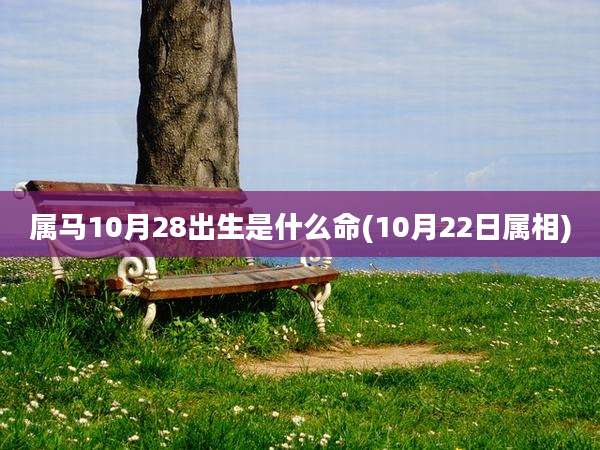 属马10月28出生是什么命(10月22日属相)