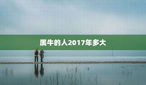 属牛的人2017年多大