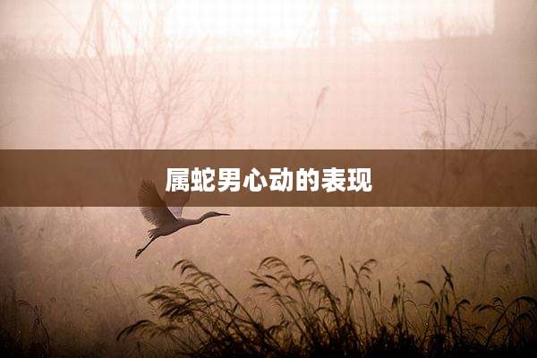 属蛇男心动的表现