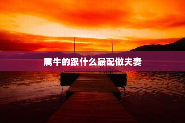 属牛的跟什么最配做夫妻