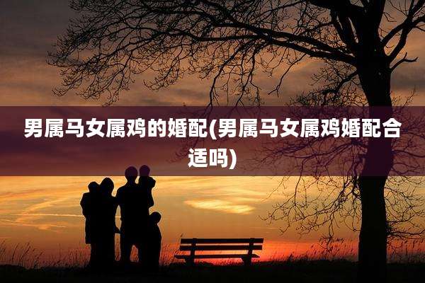 男属马女属鸡的婚配(男属马女属鸡婚配合适吗)