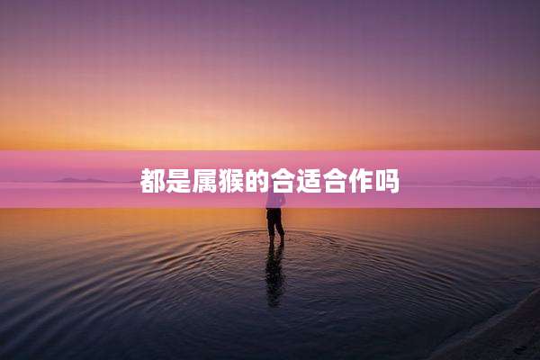 都是属猴的合适合作吗