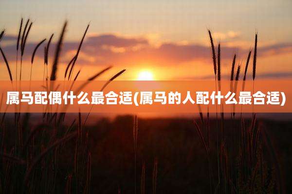 属马配偶什么最合适(属马的人配什么最合适)