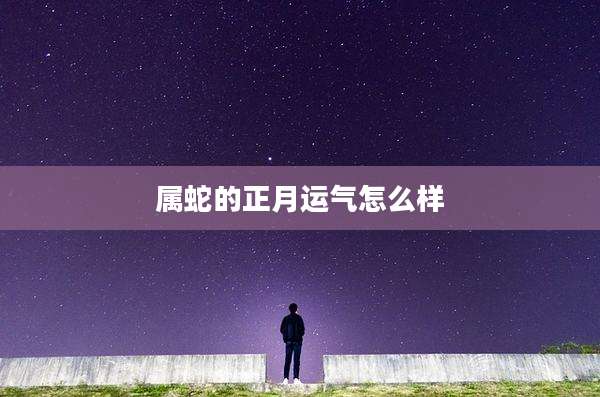 属蛇的正月运气怎么样