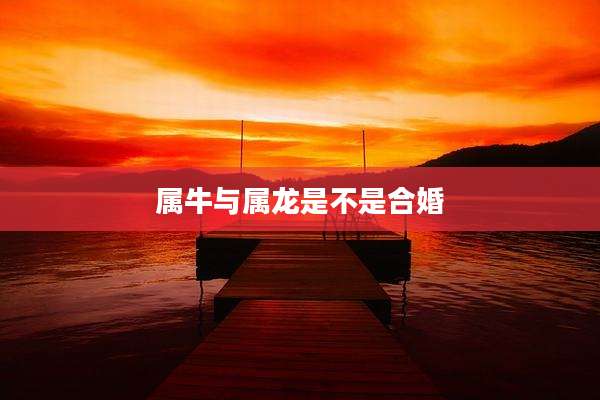 属牛与属龙是不是合婚
